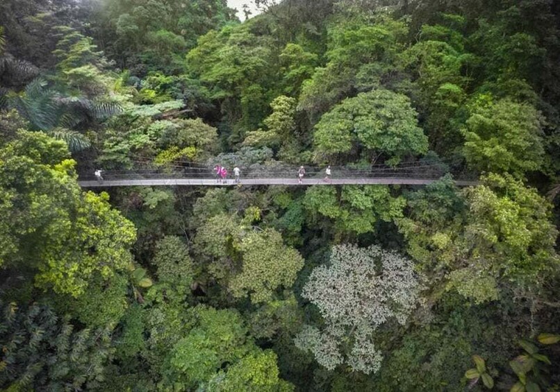 Monteverde or Santa Elena: Suspension Bridges Private Tour