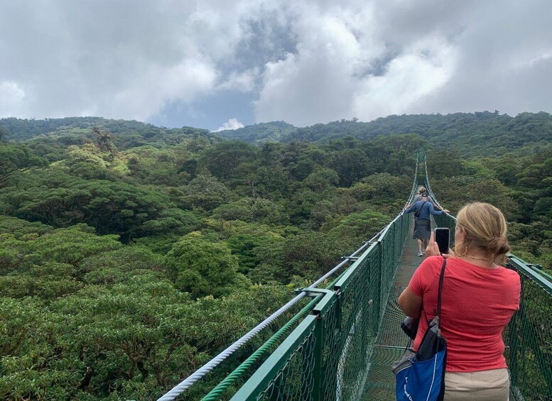 Picture 2 for Activity Monteverde or Santa Elena: Suspension Bridges Private Tour