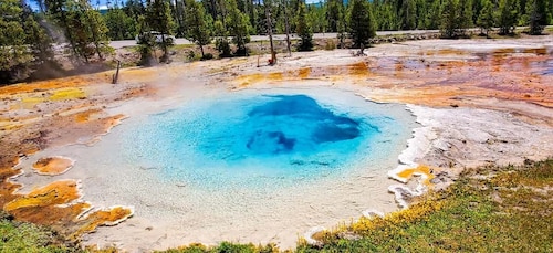 From Bozeman: Yellowstone Day Tour (Lower Loop)