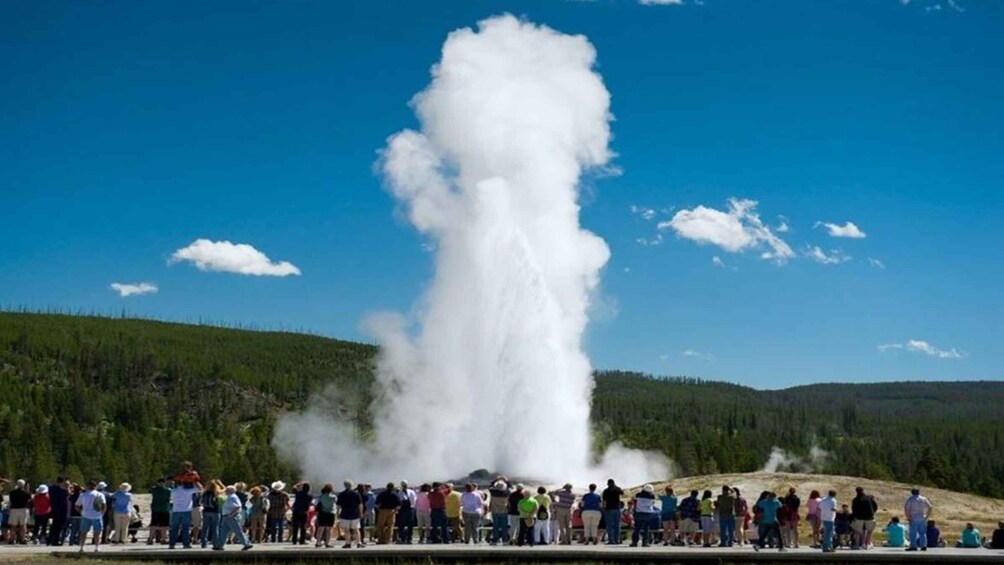 Picture 1 for Activity From Bozeman: Yellowstone Full-Day Tour with Entry Fee