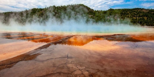 From Bozeman: Yellowstone Full-Day Tour with Entry Fee
