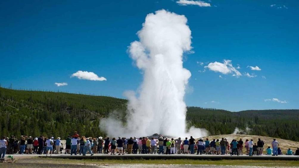 Picture 1 for Activity From Bozeman: Yellowstone Full-Day Tour with Entry Fee
