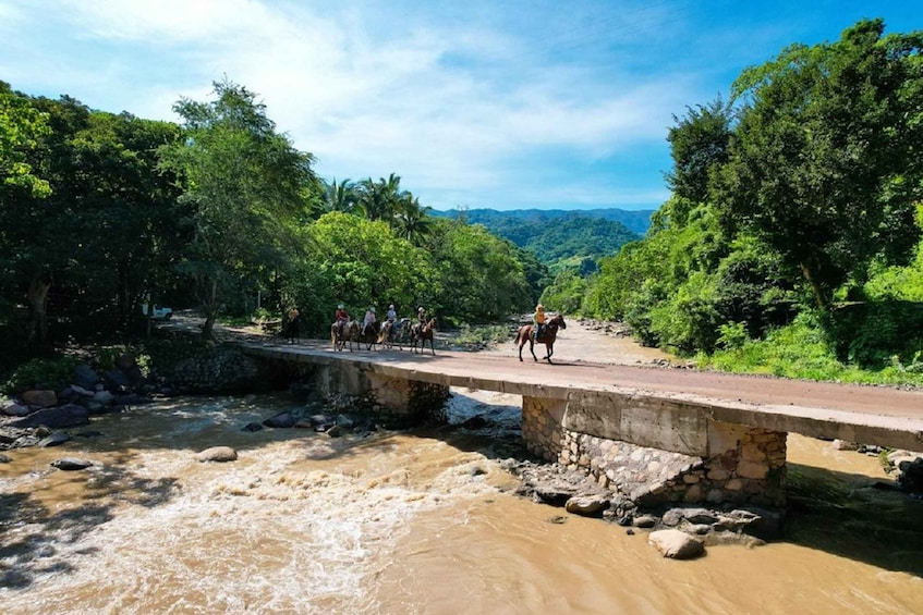 Picture 6 for Activity Puerto Vallarta: Horseback Ride Followed by Tequila Tasting