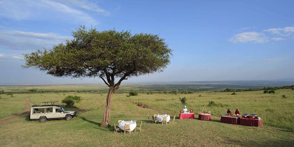 Picture 4 for Activity 4 Days lake Nakuru and Masai mara 4x4 Jeep private safari.