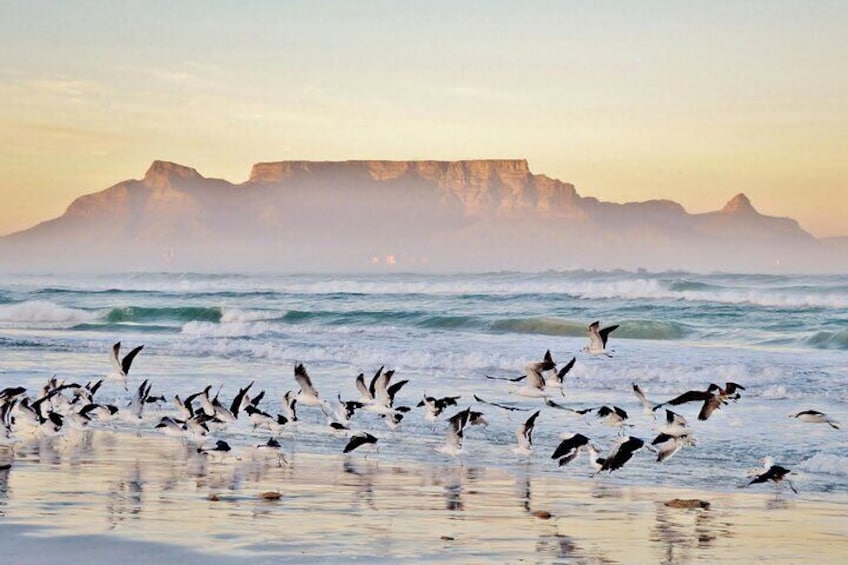 beautiful table mountain from a distance