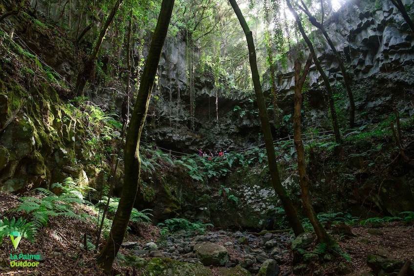 Picture 4 for Activity La Palma: Zarza Archaeological Park Guided Trek