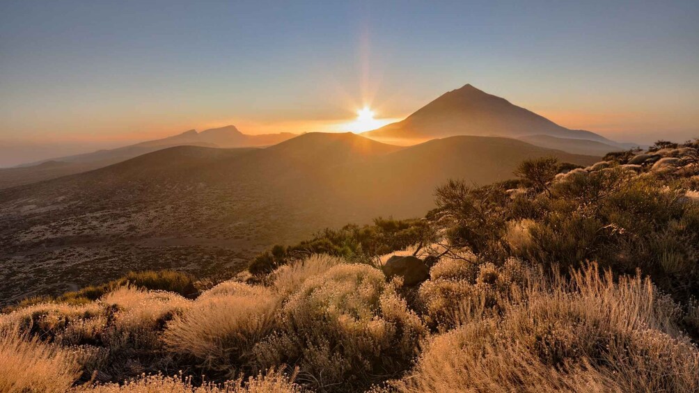 Picture 2 for Activity Tenerife: Teide National Park and Dolphins Sailboat Tour