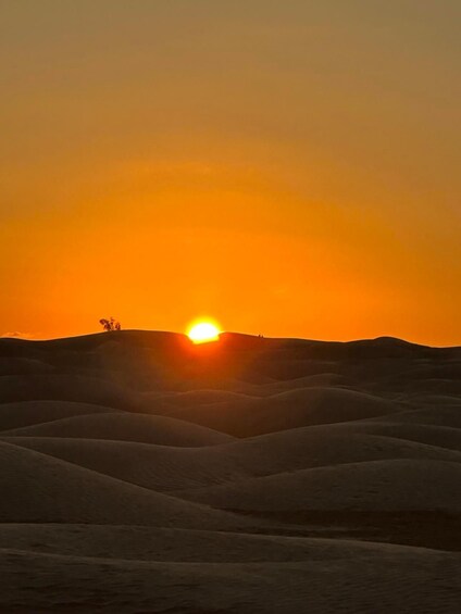 Picture 3 for Activity Trip Tunisia in the Sahara Atlas beach culture vacation