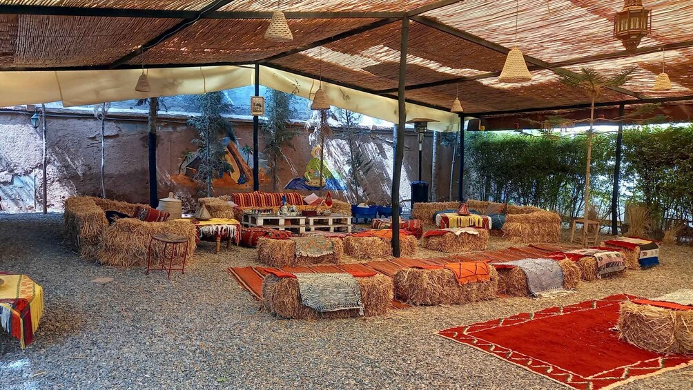 Picture 5 for Activity Dinner under the sky with spectacl&camel ride agafay desert