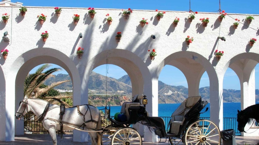 Picture 3 for Activity Malaga: Frigiliana and Nerja Day Trip with Wine and Tapas