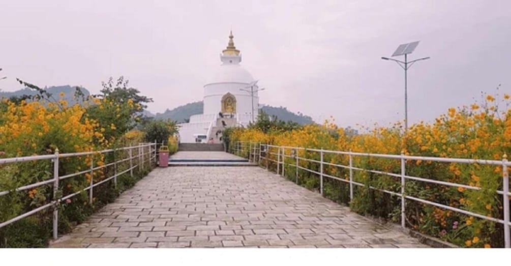 Picture 6 for Activity Pagoda Hill, Water Falls & Cave Private Day Tour on Pokhara