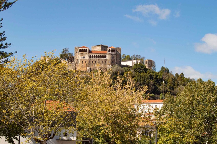 Leiria: Highlights Walking Tour - Official Guide