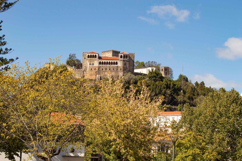 Leiria: Highlights Walking Tour - Official Guide