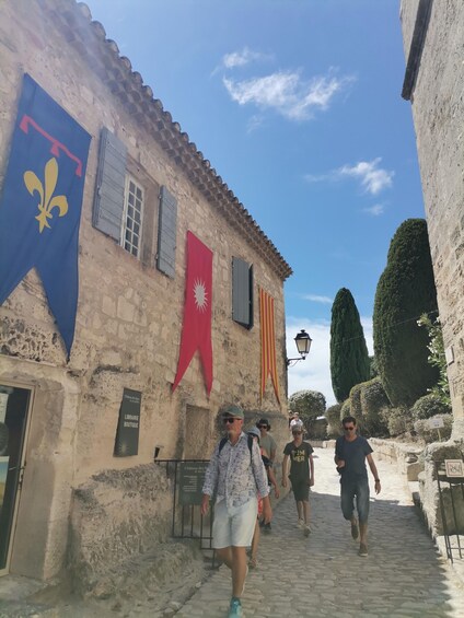 Picture 20 for Activity Baux and Saint Rémy de Provence: History Wine and Landscapes
