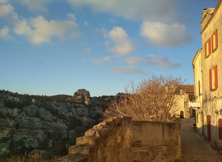 Picture 11 for Activity Baux and Saint Rémy de Provence: History Wine and Landscapes