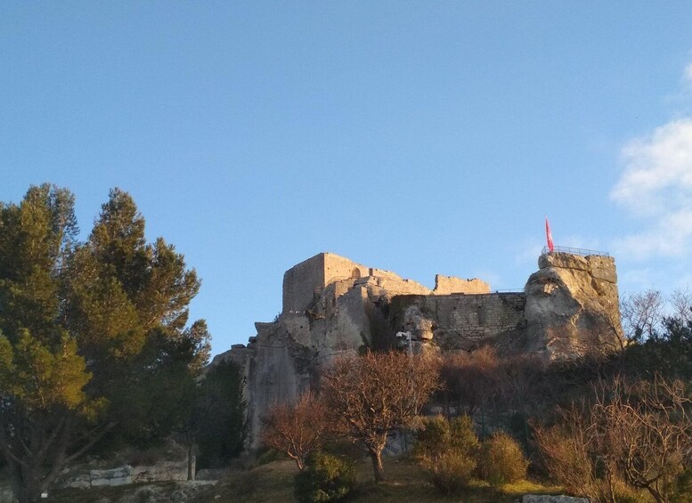 Picture 14 for Activity Baux and Saint Rémy de Provence: History Wine and Landscapes