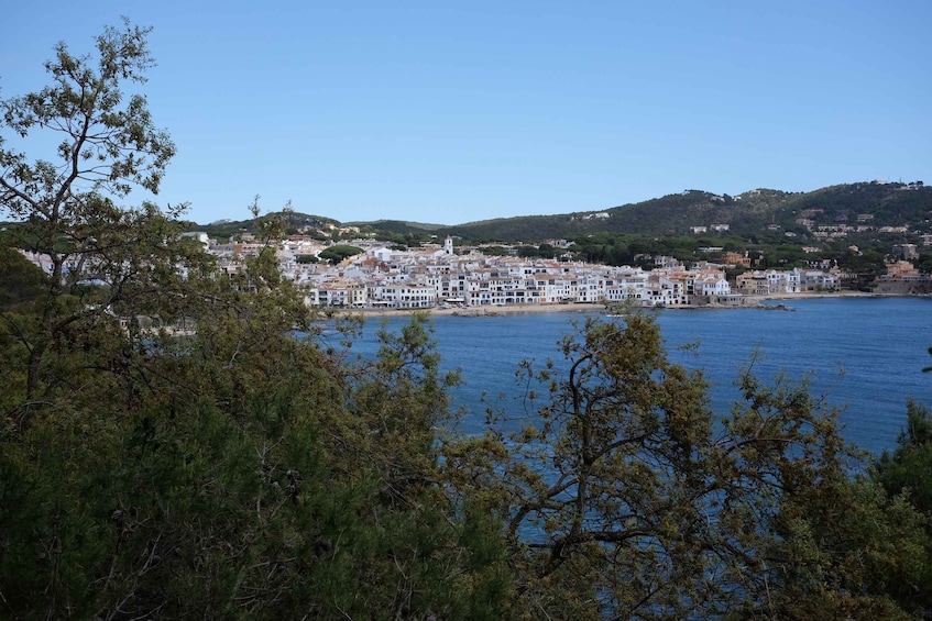 Picture 5 for Activity From Barcelona: Pvt Costa Brava Villages Day Trip with Lunch