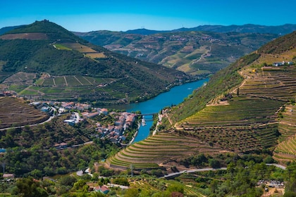 Porto: Douro Valley Tour with Lunch, Boat Cruise & Tastings