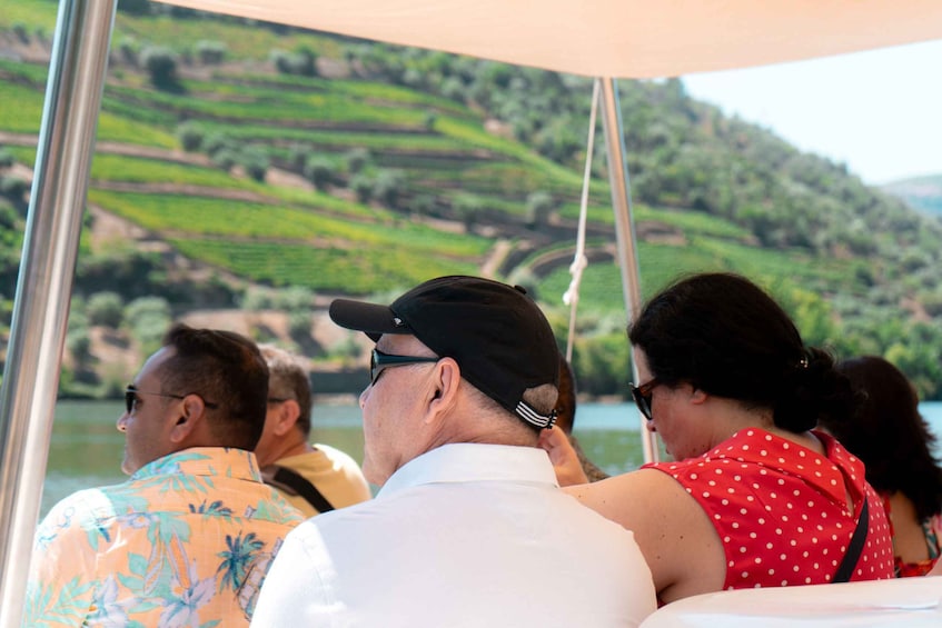 Picture 9 for Activity Porto: Douro Valley Tour with Lunch, Boat Cruise & Tastings