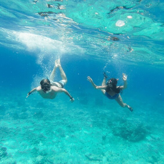 Picture 6 for Activity Cebu: Whalesharks, Sumilon Sandbar & Marine Sanctuary Tour