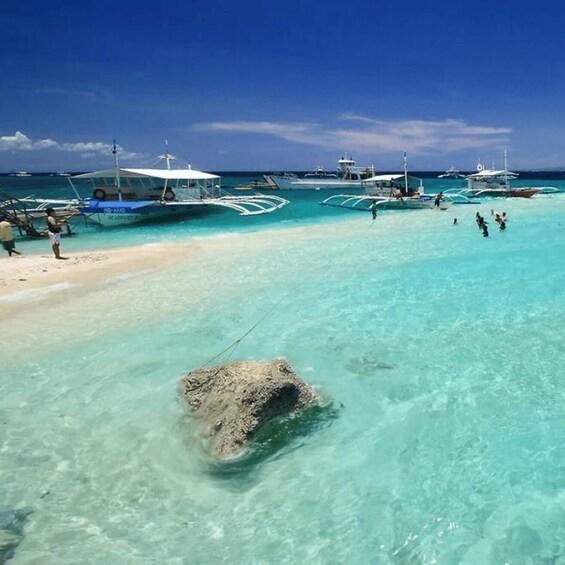 Picture 8 for Activity Cebu: Whalesharks, Sumilon Sandbar & Marine Sanctuary Tour