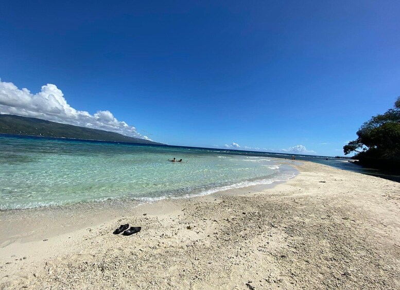 Picture 7 for Activity Cebu: Whalesharks, Sumilon Sandbar & Marine Sanctuary Tour