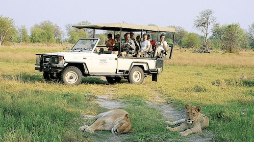 4-tägige private Tour ab Lusaka - Sambia, Simbabwe, Botswana