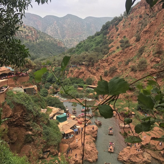 Picture 3 for Activity Ouzoud Waterfalls, Monkeys & Berbers Day Trip From Marrakech