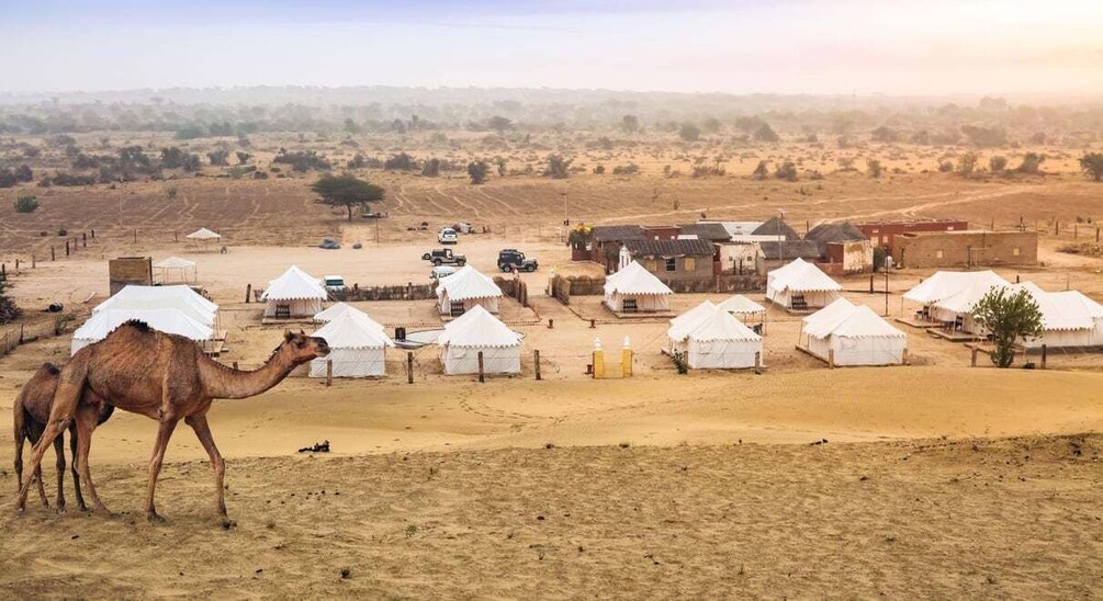 Jaisalmer: 2 Days Adventure in the Thar Desert