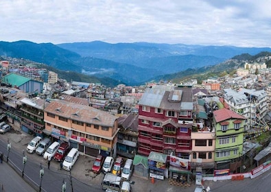 Det beste av Darjeeling (guidet halvdags sightseeingtur med bil)