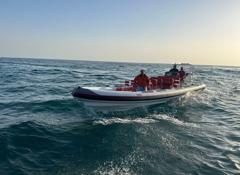 Picture 2 for Activity Quarteira: Algarve Coast, Caves and Dolphin Watching Cruise