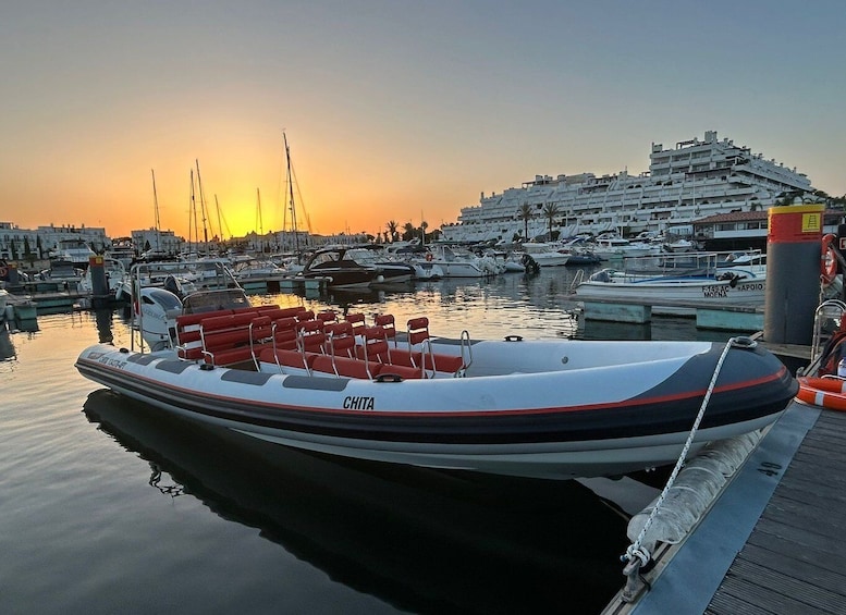 Picture 3 for Activity Quarteira: Algarve Coast, Caves and Dolphin Watching Cruise