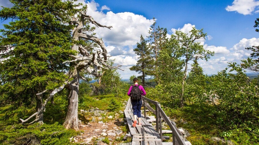 Rovaniemi: Korouoma Canyon & Waterfalls Tour with BBQ