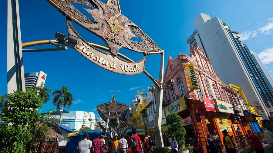 Kuala Lumpur: Grand Day Tour with KL Tower