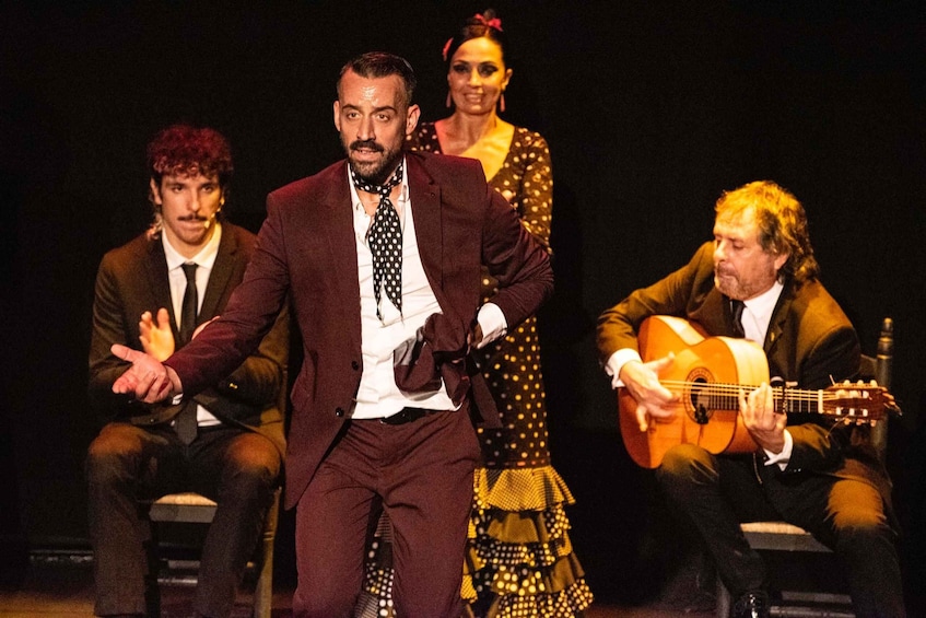 Picture 4 for Activity Combo: Hop on hop off + Flamenco Show & Walking tours