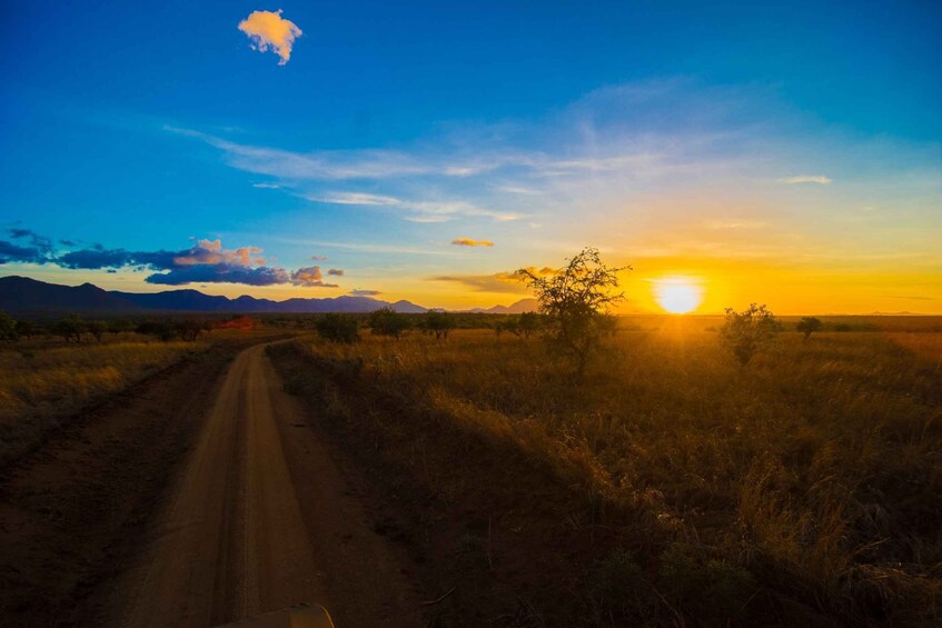 Picture 5 for Activity Uganda: 5 Day Kidepo Valley National Park