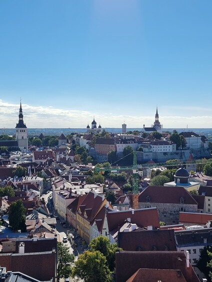Picture 5 for Activity Accessible tour in Tallinn