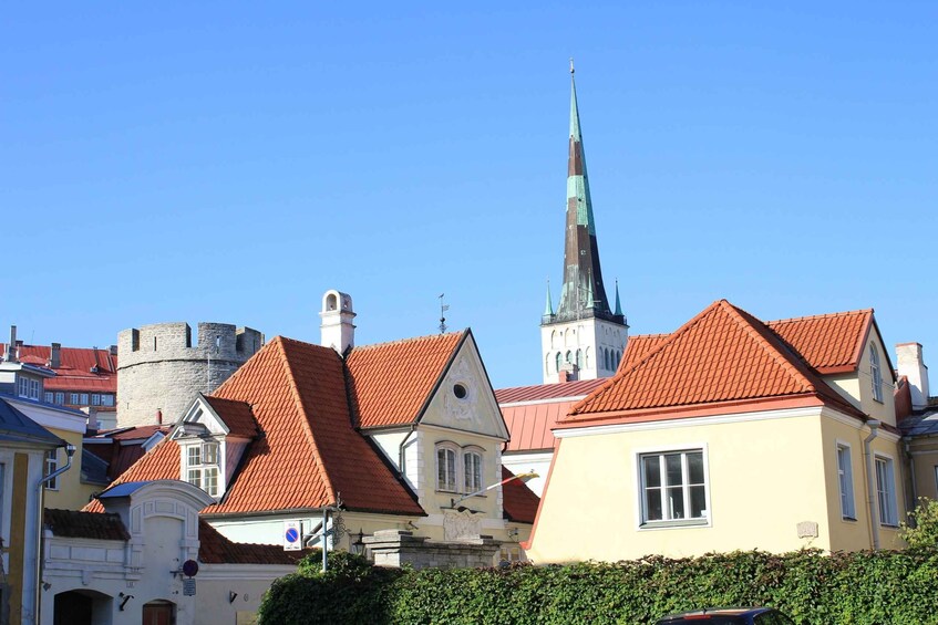 Picture 2 for Activity Accessible tour in Tallinn