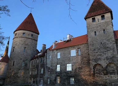 Tillgänglig rundtur i Tallinn