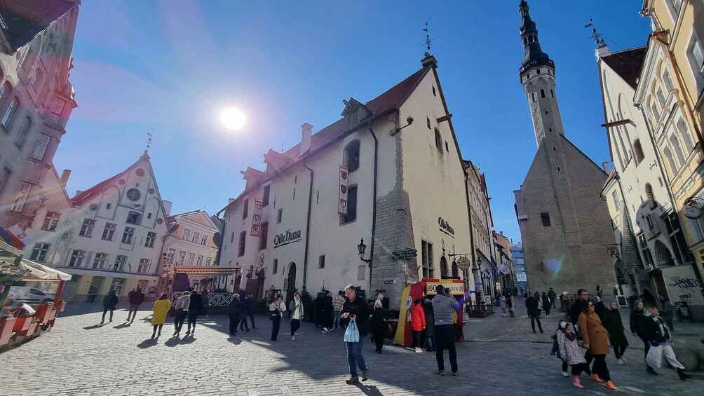 Picture 6 for Activity Accessible tour in Tallinn