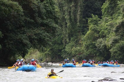 La Fortuna: Pacuare de rafting y transporte a SJO o Puerto Viejo