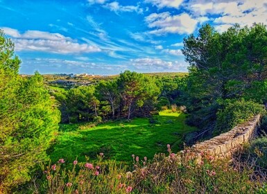 Recorrido privado a pie por lo más destacado de la naturaleza con transport...