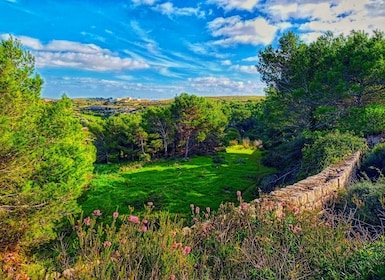 Tour privato a piedi dei punti salienti della natura con trasporto