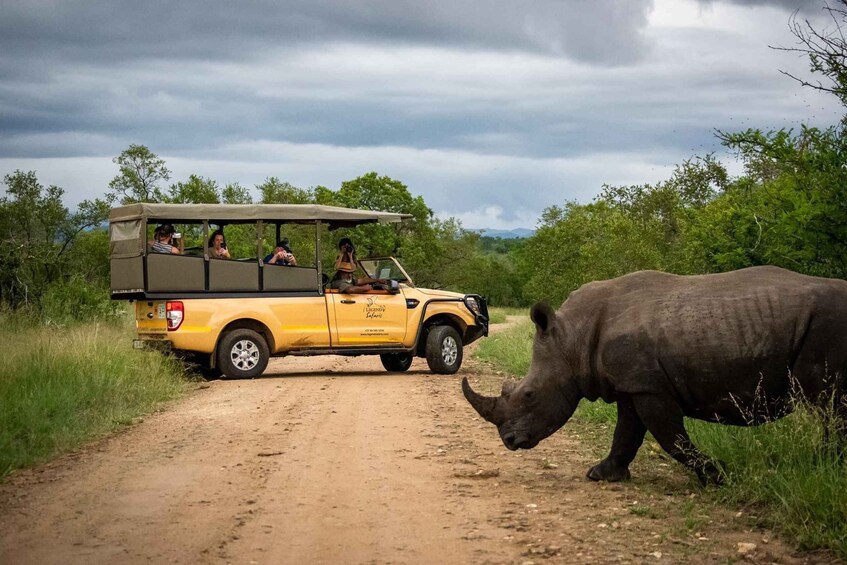 Kruger Safari Tour: Morning Half Day