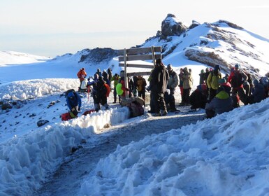 Excursión de 8 días al Kilimanjaro - Ruta Machame