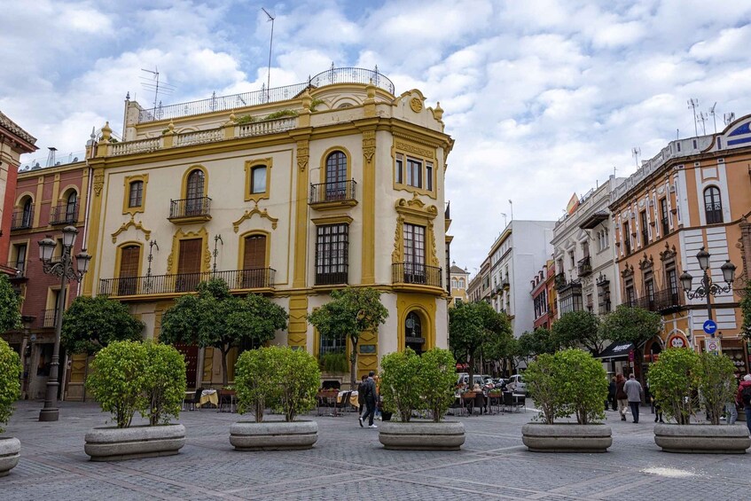 Picture 2 for Activity From Malaga: Seville Private Tour with Alcazar and Cathedral