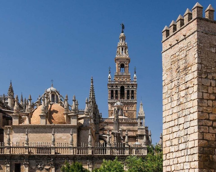 Picture 7 for Activity From Malaga: Seville Private Tour with Alcazar and Cathedral