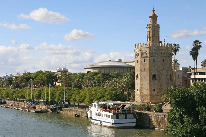 Picture 1 for Activity From Malaga: Seville Private Tour with Alcazar and Cathedral