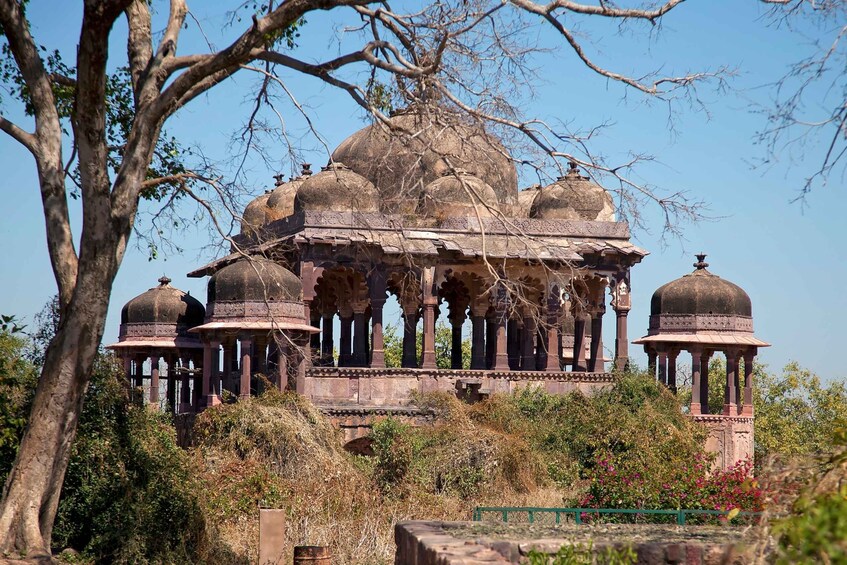 Picture 2 for Activity From Delhi: 4-Day Golden Triangle & Ranthambore Tiger Safari