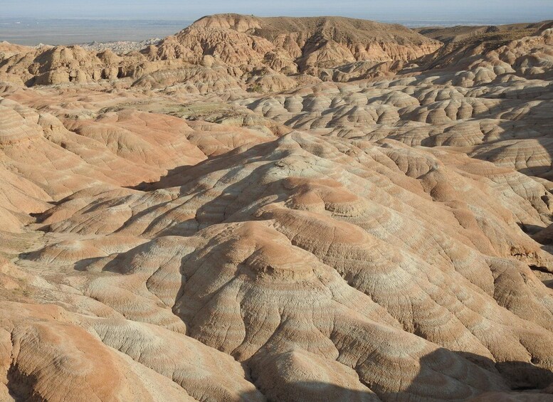 Picture 3 for Activity PRIVATE TOUR Altyn-Emel National Park UNESCO